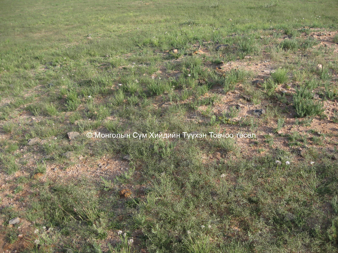 Дөрвөн худгийн сүмийн жас, гал зуухны байрны туурь